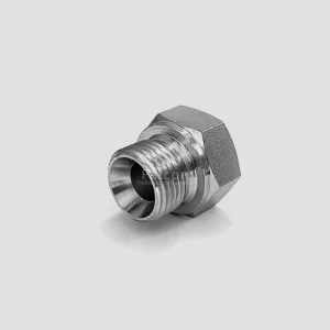 BSP MALE PLUG